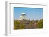 Osaka Castle with Autumn Garden in Kansai Japan-vichie81-Framed Photographic Print