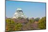 Osaka Castle with Autumn Garden in Kansai Japan-vichie81-Mounted Photographic Print