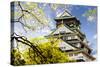 Osaka Castle-NicholasHan-Stretched Canvas