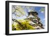 Osaka Castle-NicholasHan-Framed Photographic Print