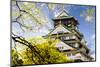 Osaka Castle-NicholasHan-Mounted Photographic Print