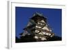 Osaka Castle-null-Framed Giclee Print