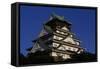 Osaka Castle-null-Framed Stretched Canvas
