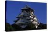 Osaka Castle-null-Stretched Canvas