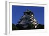 Osaka Castle-null-Framed Giclee Print