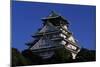 Osaka Castle-null-Mounted Giclee Print