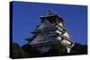 Osaka Castle-null-Stretched Canvas