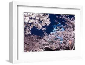 Osaka, Japan at Osaka Castle Park in the Springtime.-SeanPavonePhoto-Framed Photographic Print