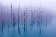 Misty Blue Pond-Osamu Asami-Laminated Photographic Print