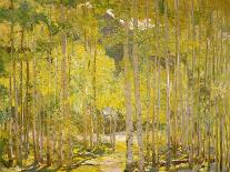 Aspen Forest-Oscar Berninghouse-Laminated Art Print