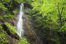 Water Cascading Flowing Over Partnach Gorge. Garmisch-Partenkirchen. Upper Bavaria. Germany-Oscar Dominguez-Photographic Print