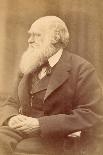 Portrait of Charles Darwin at Age 72, C.1871 (Albumen Print)-Oscar Gustav Rejlander-Giclee Print