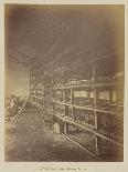 Indigo factory , 1877-Oscar Jean Baptiste Mallitte-Giclee Print