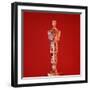 Oscar Statuette at Academy Awards Theater, Hollywood-Bill Eppridge-Framed Premium Photographic Print