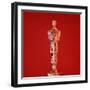 Oscar Statuette at Academy Awards Theater, Hollywood-Bill Eppridge-Framed Photographic Print