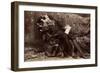 Oscar Wiide, Irish Writer, Wit and Playwright, 1882-Napoleon Sarony-Framed Giclee Print
