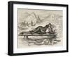 Oscar Wilde As Narcissus (With an Inscription)-James Kelly-Framed Giclee Print