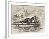 Oscar Wilde As Narcissus (With an Inscription)-James Kelly-Framed Giclee Print