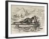 Oscar Wilde As Narcissus (With an Inscription)-James Kelly-Framed Premium Giclee Print