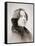 Oscar Wilde, Early 1880S (B/W Photo)-Napoleon Sarony-Framed Stretched Canvas