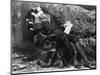 Oscar Wilde Lounging-null-Mounted Photographic Print