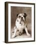 Oscar-Rachael Hale-Framed Photographic Print