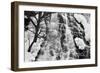 Oshinkoshin Falls II-Larry Malvin-Framed Photographic Print