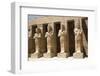 Osiride Statues of Ramses Iii-Richard Maschmeyer-Framed Photographic Print