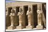 Osiride Statues of Ramses Iii-Richard Maschmeyer-Mounted Photographic Print