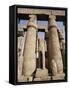 Osiris Statues and Colonnade, Luxor Temple, Thebes, Unesco World Heritage Site, Egypt-Nico Tondini-Framed Stretched Canvas