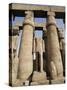 Osiris Statues and Colonnade, Luxor Temple, Thebes, Unesco World Heritage Site, Egypt-Nico Tondini-Stretched Canvas