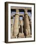 Osiris Statues and Colonnade, Luxor Temple, Thebes, Unesco World Heritage Site, Egypt-Nico Tondini-Framed Photographic Print