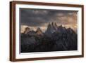 Brown Frame