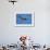 Osprey, Acadia National Park, Maine-Paul Souders-Framed Photographic Print displayed on a wall