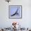 Osprey Carries Fish in Talons as it Flies over the Players Championship Golf Tournament in Florida-null-Framed Photographic Print displayed on a wall