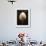 Osprey Egg-Chris Dunker-Framed Giclee Print displayed on a wall