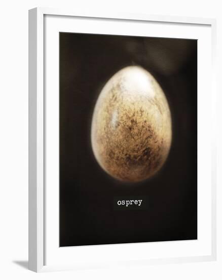 Osprey Egg-Chris Dunker-Framed Giclee Print