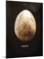 Osprey Egg-Chris Dunker-Mounted Giclee Print
