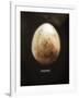 Osprey Egg-Chris Dunker-Framed Giclee Print