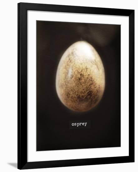 Osprey Egg-Chris Dunker-Framed Giclee Print