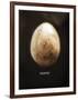 Osprey Egg-Chris Dunker-Framed Giclee Print