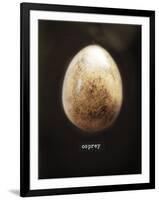 Osprey Egg-Chris Dunker-Framed Giclee Print