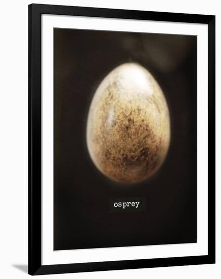 Osprey Egg-Chris Dunker-Framed Giclee Print