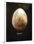 Osprey Egg-Chris Dunker-Framed Giclee Print