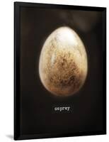 Osprey Egg-Chris Dunker-Framed Giclee Print