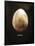 Osprey Egg-Chris Dunker-Framed Giclee Print