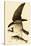 Osprey in Flight-John James Audubon-Stretched Canvas