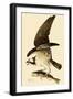 Osprey in Flight-John James Audubon-Framed Giclee Print