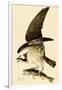 Osprey in Flight-John James Audubon-Framed Giclee Print