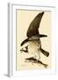 Osprey in Flight-John James Audubon-Framed Giclee Print